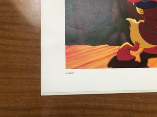 Litografia Disney Fantasia 2000 Numerata