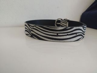 Cintura zebrata