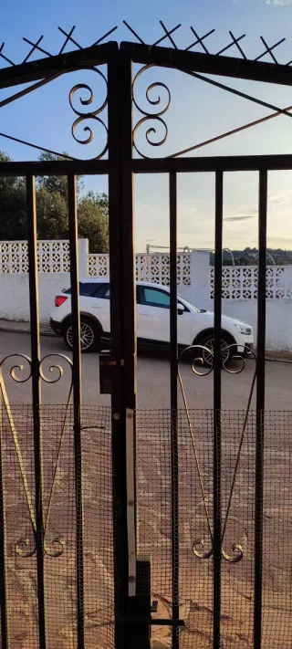 Puerta metálica de hierro forjado