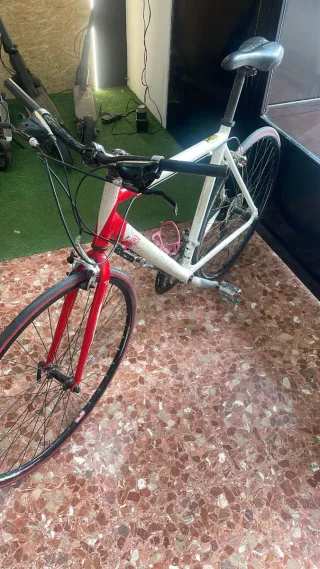 Puesta a punto y revisión