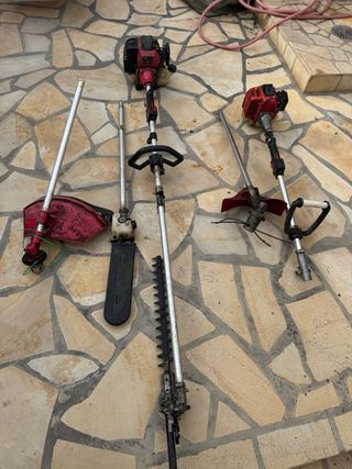 Tagliasiepi a benzina da giardino