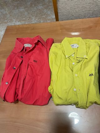 Lote 2 Camisas y 1 Jersey Tomas Burberry