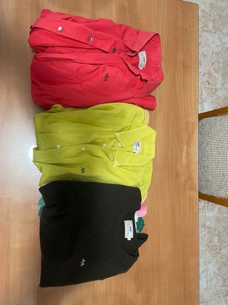 Lote 2 Camisas y 1 Jersey Tomas Burberry