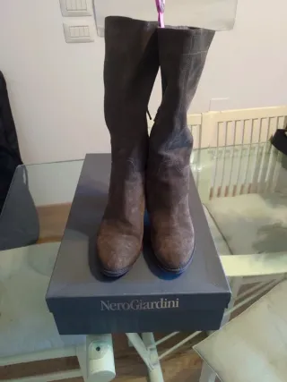 Stivali scamosciati Nero Giardini marroni