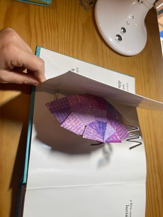 Te quiero (casi siempre). Un libro pop-up