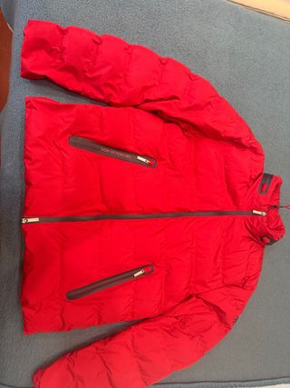 Plumas Lion of Porches Rojo