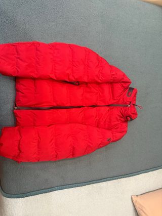 Plumas Lion of Porches Rojo