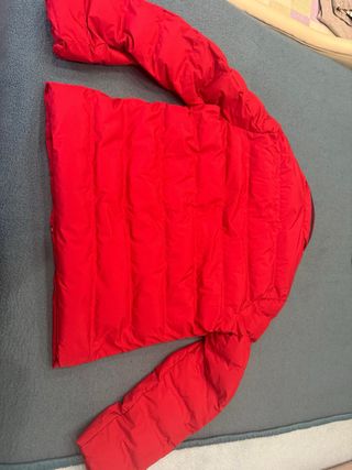 Plumas Lion of Porches Rojo