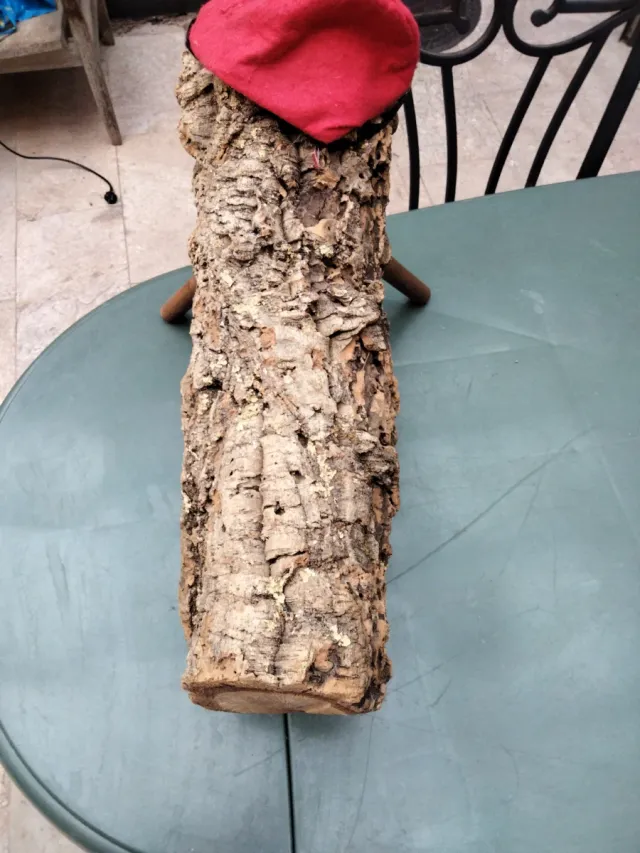 Tió de Nadal, Caga Tió