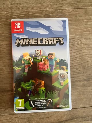 Minecraft Nintendo Switch