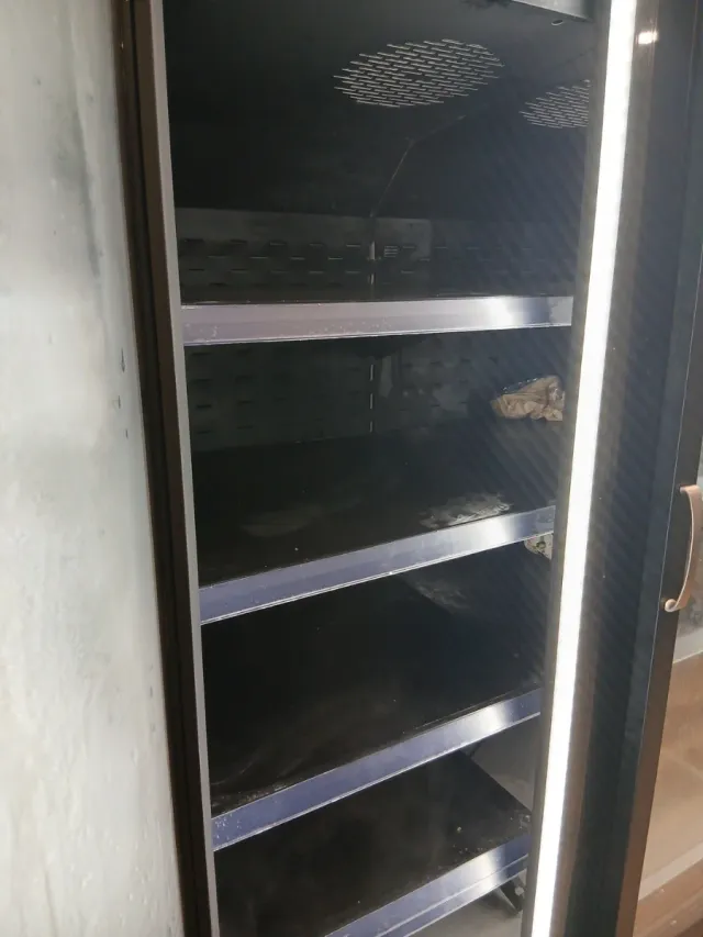 Congelador expositor CORECO profesional 2024 – dob