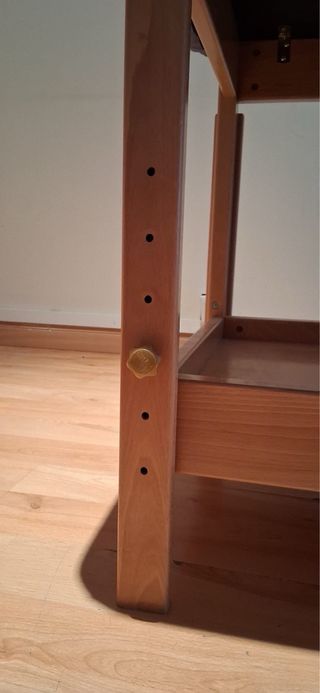 CAMILLA MASAJE ECOPOSTURAL