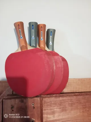 4 Palas de Ping Pong ARTENGO + red