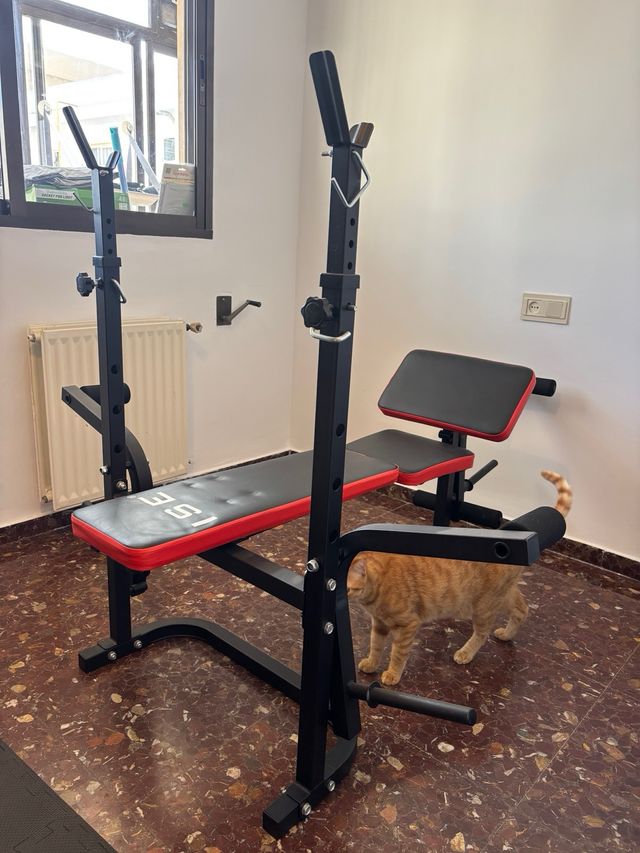 Banco de pesas DUMBBELL BENCH