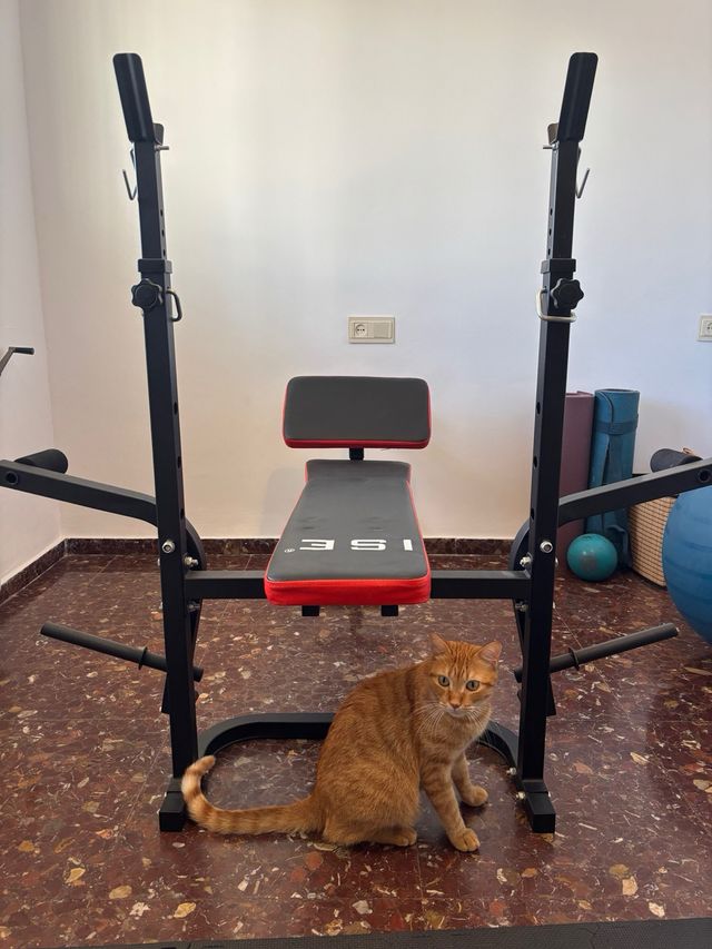 Banco de pesas DUMBBELL BENCH