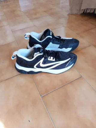 Nike Giannis Zapatillas Baloncesto Hombre