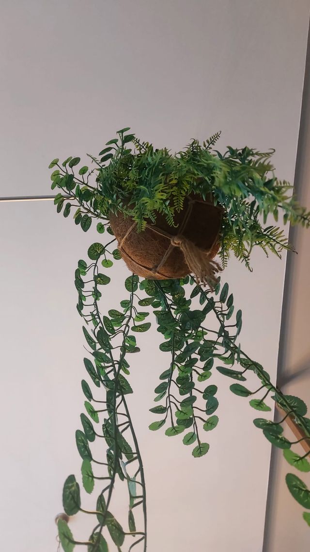 Cesta colgante coco con plantas