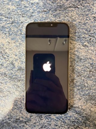 iPhone 12 Pro Max 256GB