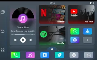 Ottocast Play2Video Pro Adaptador Multimedia