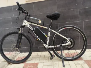 Bicicleta Rin 29 Motor 1000W 2 Baterías