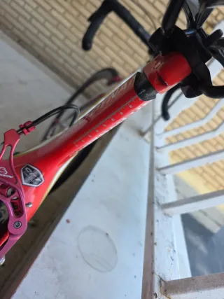 Bicicleta CKT Carbono Tope Gama