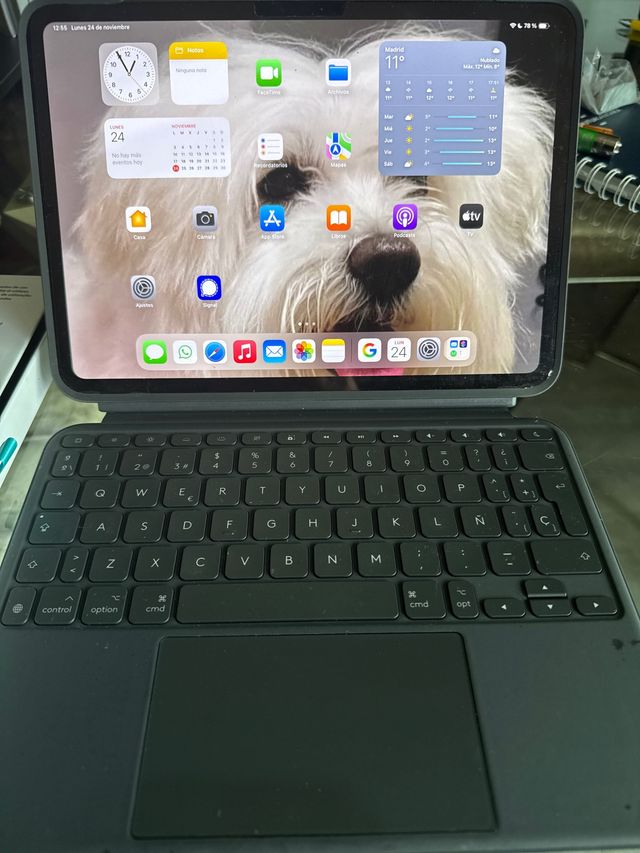 iPad Pro 11 M4 con funda y teclado