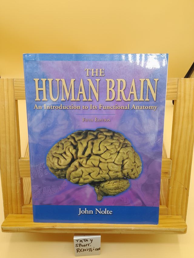 The Human Brain – John Nolte