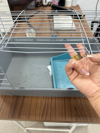 Jaula para conejos gris y azul