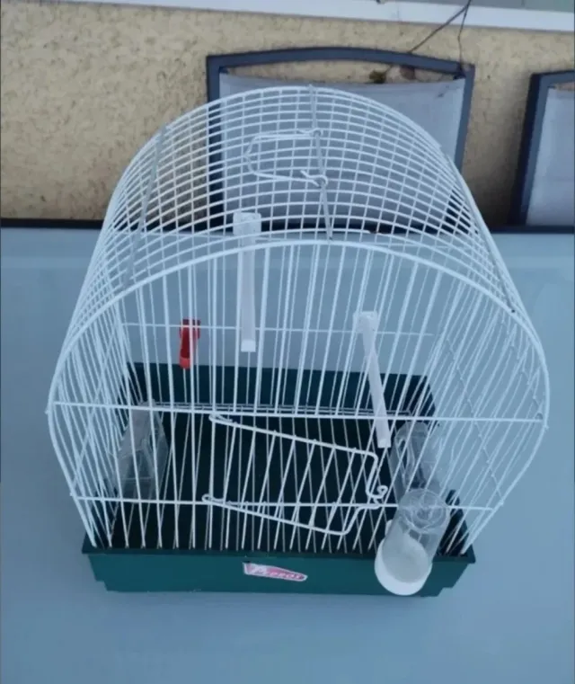 Jaula para pájaros casi nueva