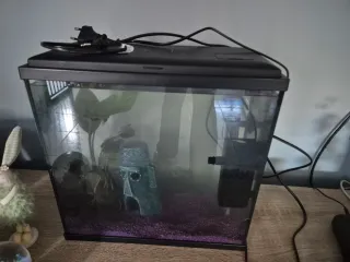 Acuario de cristal y plástico