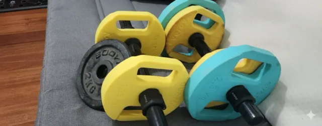 Discos de pesa Evergy 1.25 kg (x4)