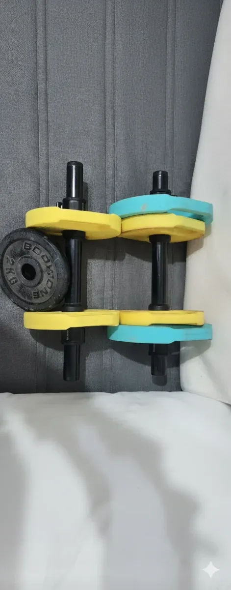 Discos de pesa Evergy 1.25 kg (x4)