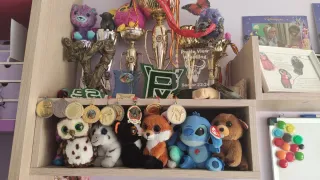 Estanterías de madera y plástico