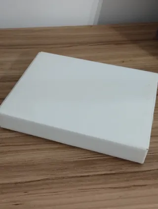 Icona Madonna con Bambino Argento