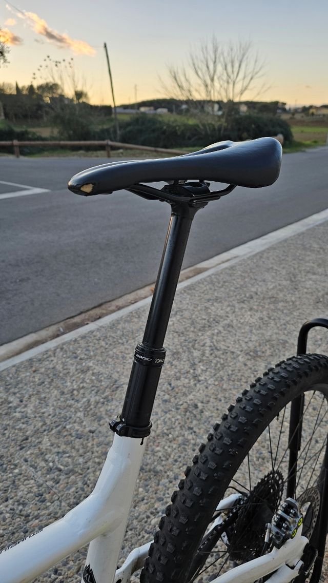 Bicicleta Specialized Stumpjumper Talla XL