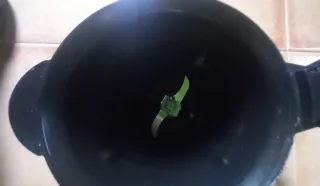 Mastermix Lufhous Robot Cocina