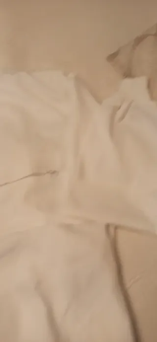 Mono de trabajo Vesin Talla L (54) Blanco