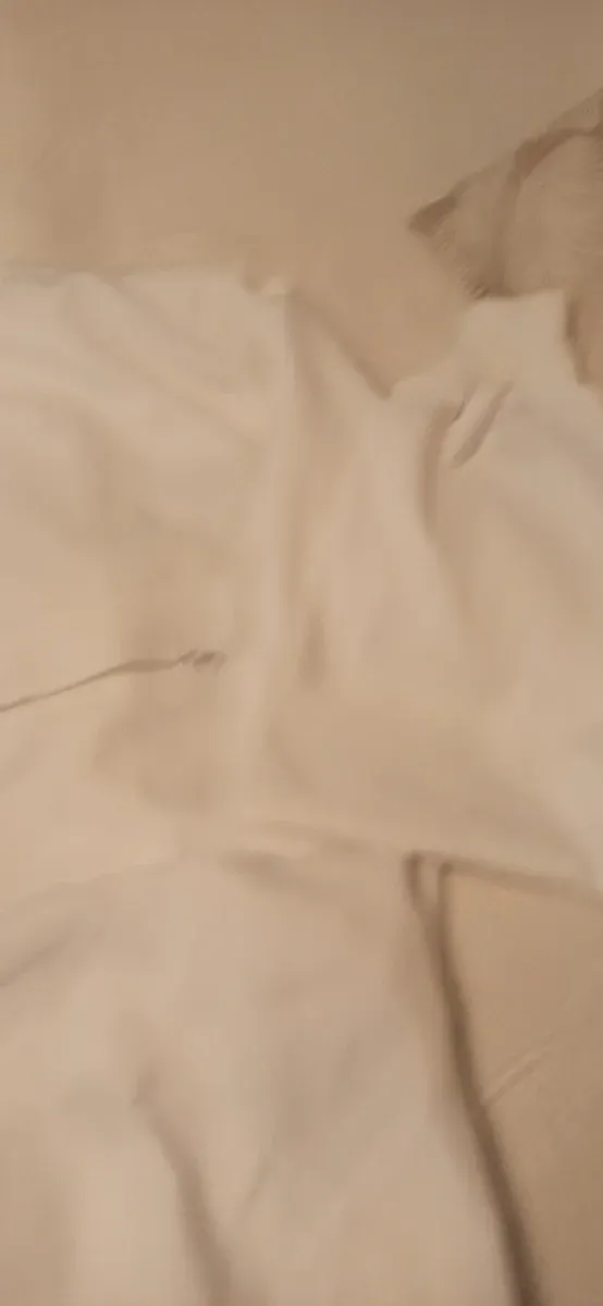 Mono de trabajo Vesin Talla L (54) Blanco