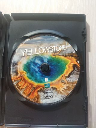 Yellowstone en  Blu-ray Y El viaje de la Tortuga