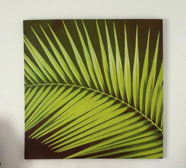 Cuadro grande palmera