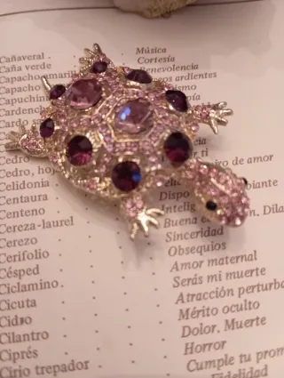 Broche Tortuga Acero Dorado y Rosa