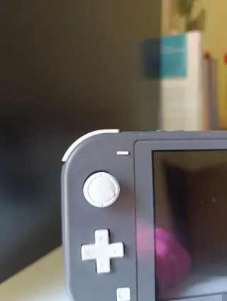 Nintendo Switch Lite Grigio + Custodie e caricatore