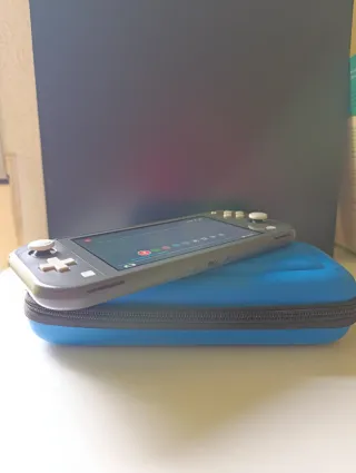 Nintendo Switch Lite Grigio + Custodie e caricatore