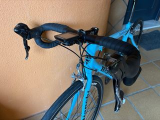 Goka Greenwich (pintada bianchi)