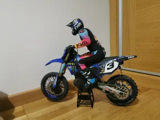 Losi promoto MX 1/4 radio control