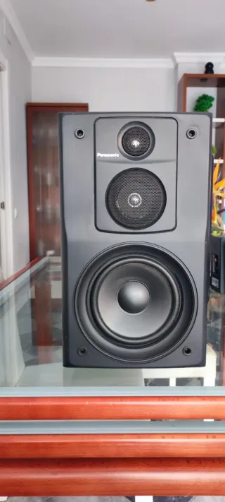 Altavoces Vieta y Panasonic negros .