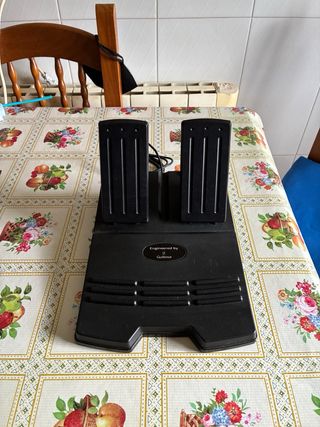 Volante Ferrari Racing Wheel PS2 y pedales