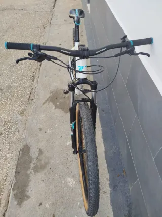 Bicicleta Montaña 29 Blanca