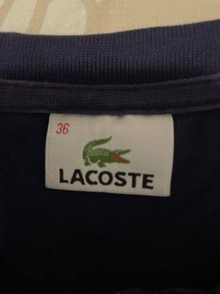 Maglietta Lacoste maniche corte blu