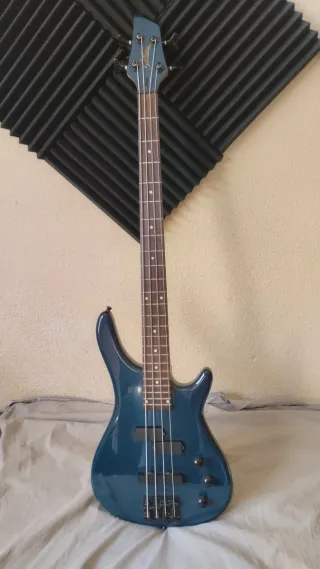 Amplificador Bajo Eléctrico (Bajo opcional)
